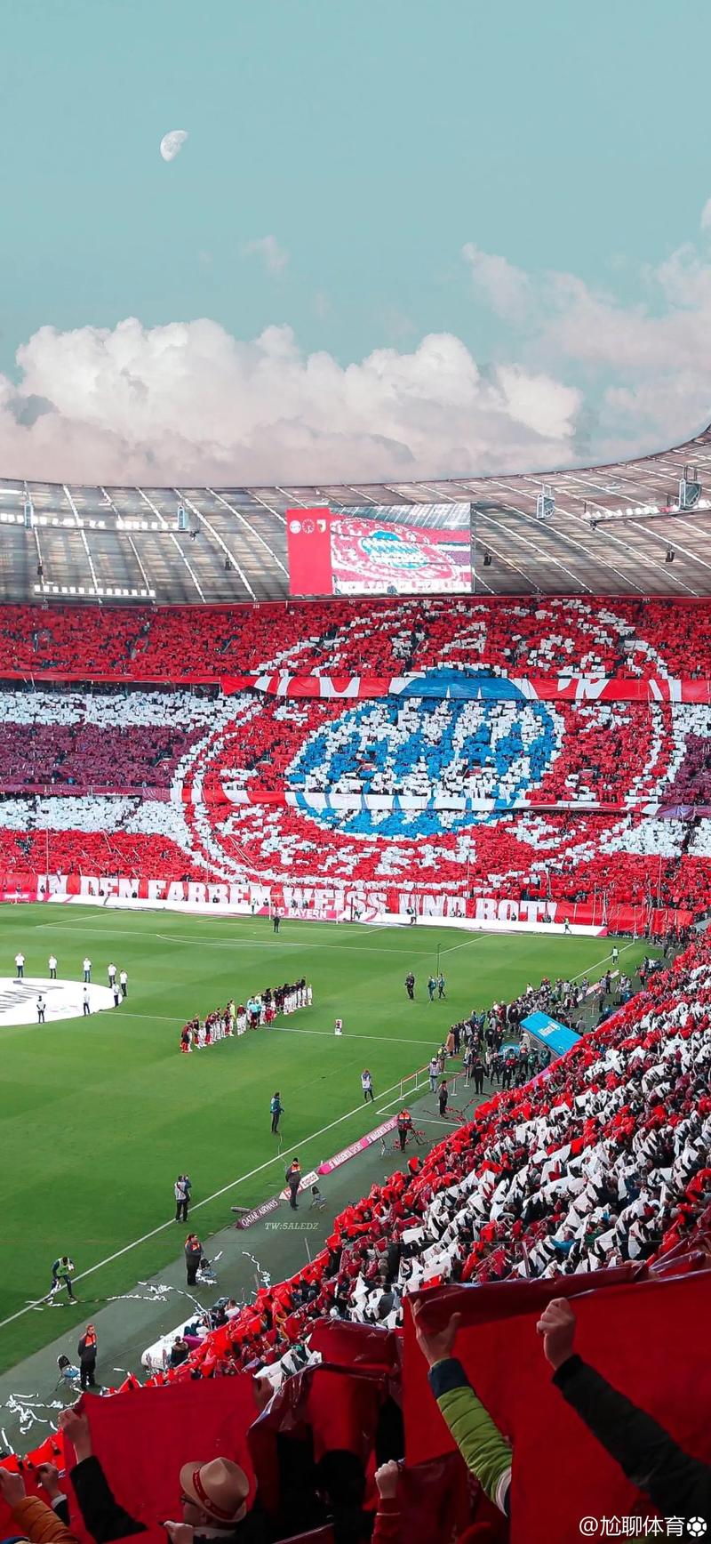 佩蒂特：凯塞多还在布莱顿的时候，我曾希望枪手签下他和麦卡