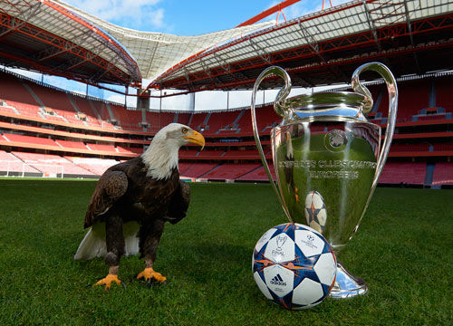 篮球勇士全队轮转效率提升